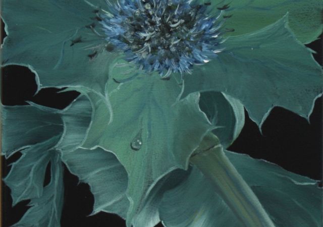 galerie-augustburk-blumen-bob ross-Distel
