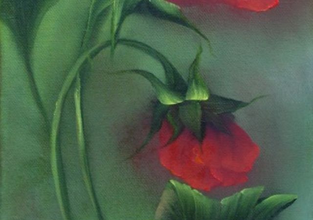 galerie-augustburk-blumen-bob ross-Mohn Auf Grün #1