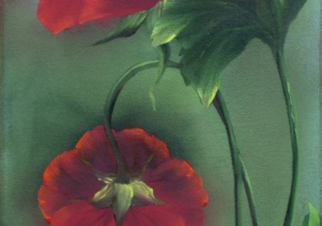 galerie-augustburk-blumen-bob ross-Mohn Auf Grün #2