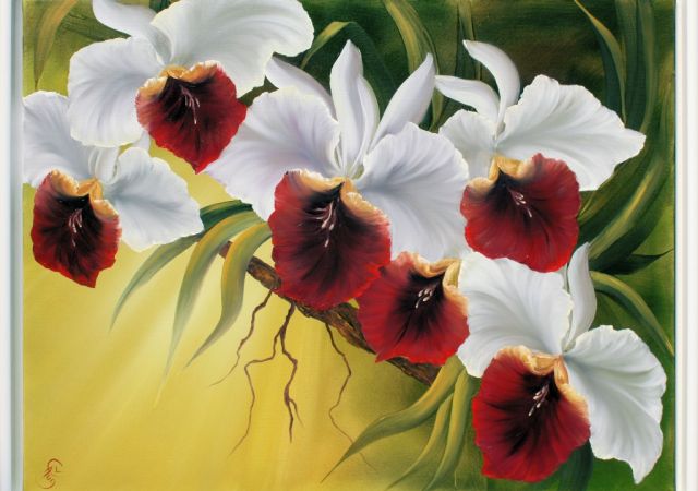 galerie-augustburk-blumen-bob ross-Orchideen