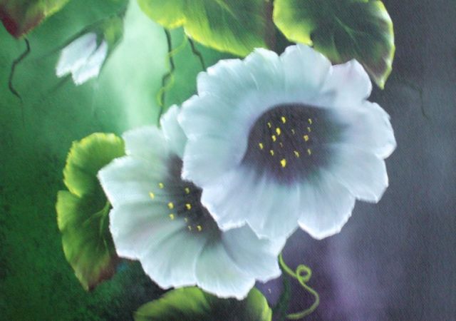 galerie-augustburk-blumen-bob ross-Rankenwinde