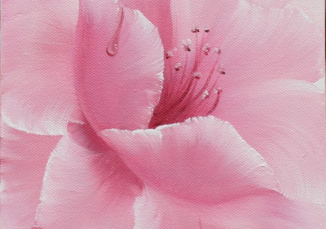 galerie-augustburk-blumen-bob ross-Zartes Duo #1