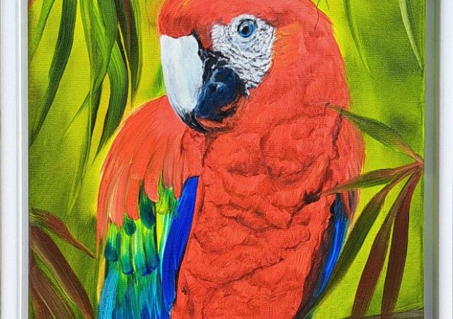 galerie-augustburk-Tiere-bob ross-Ara