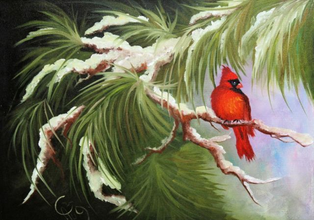 galerie-augustburk-Tiere-bob ross-Kardinal