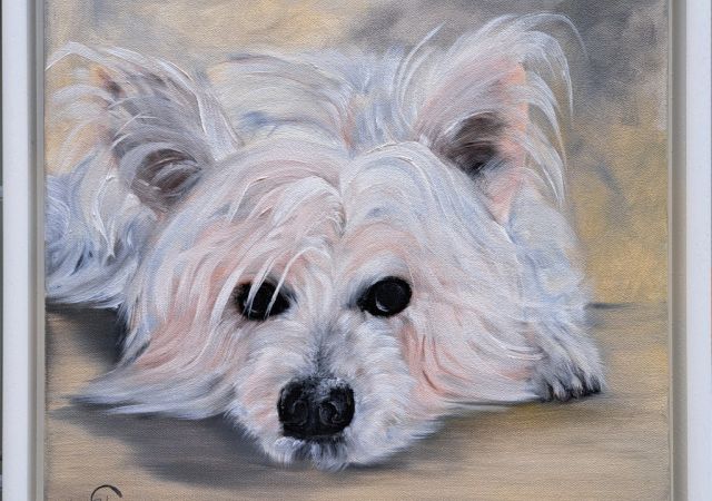 galerie-augustburk-Tiere-bob ross-Lotti