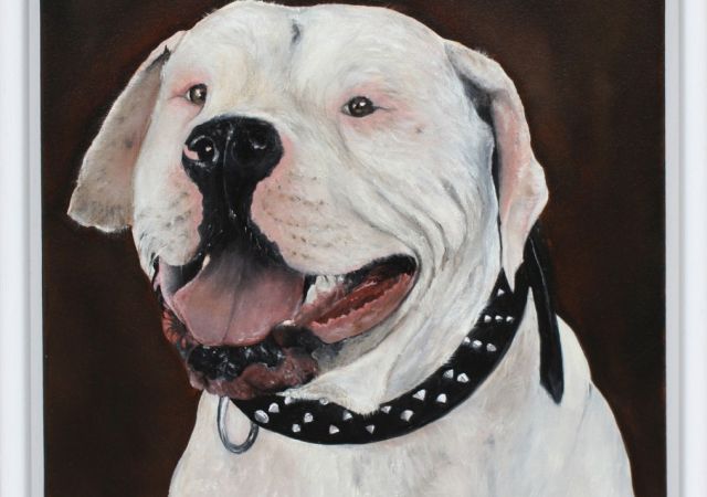 galerie-augustburk-Tiere-bob ross-Luca