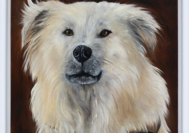 galerie-augustburk-Tiere-bob ross-Pacco