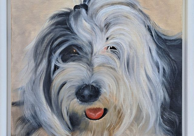 galerie-augustburk-Tiere-bob ross-Wuschel